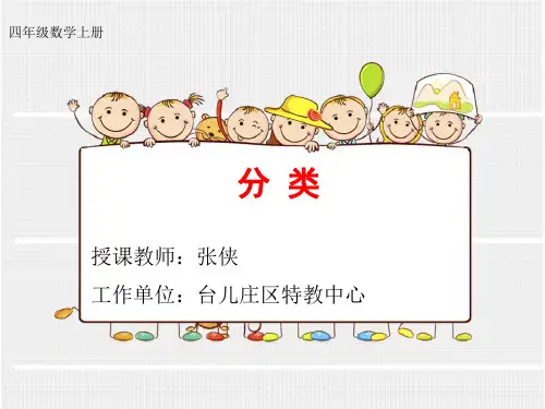 分类与整理PPT