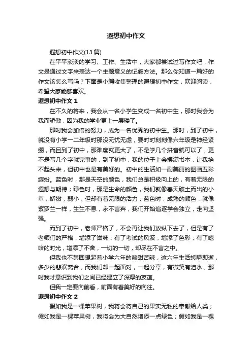 遐想初中作文
