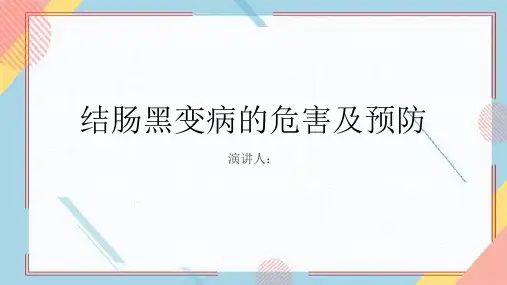 结肠黑变病危害及预防PPT