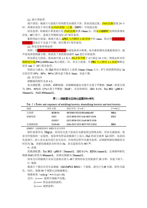 FISH荧光原位杂交