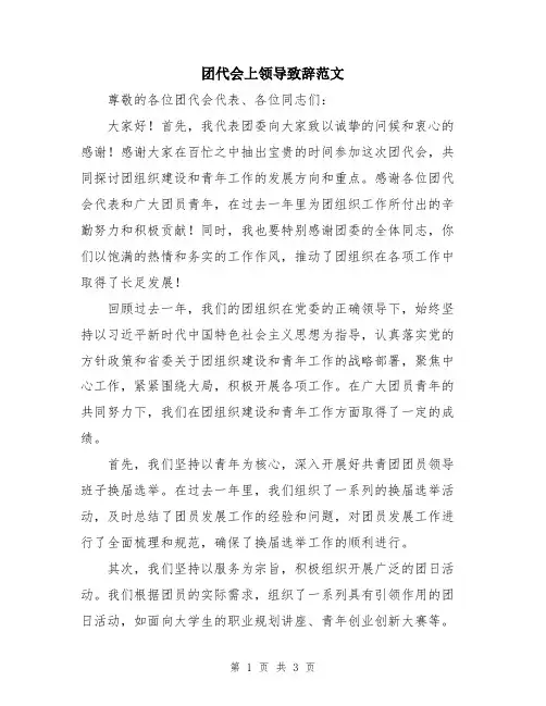 团代会上领导致辞范文