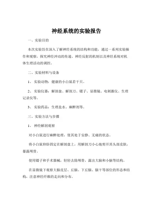神经系统的实验报告