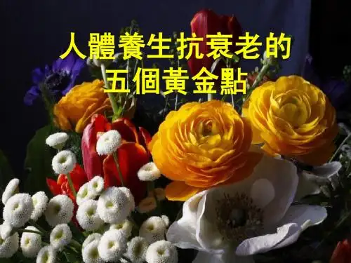 黄金保健五大穴
