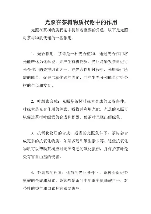 光照在茶树物质代谢中的作用