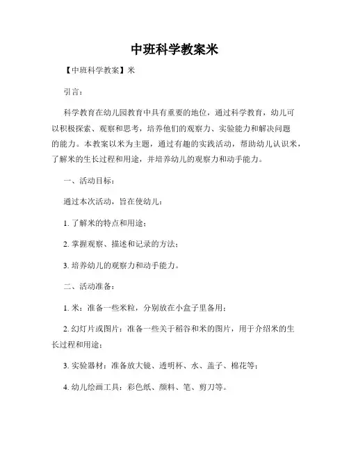 中班科学教案米