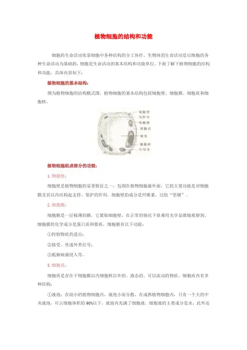 七年级生物上册 2.1.2 植物细胞 植物细胞的结构和功能素材 (新版)新人教版