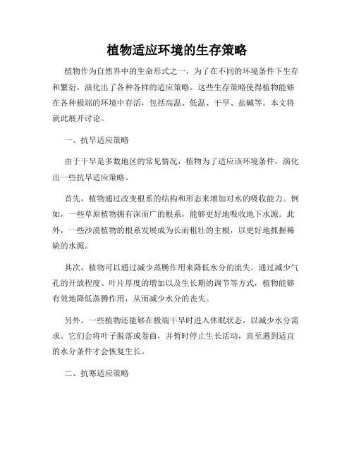 植物适应环境的生存策略