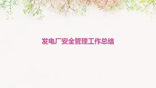 发电厂安全管理工作总结PPT