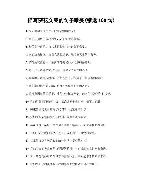 描写葵花文案的句子唯美(精选100句)