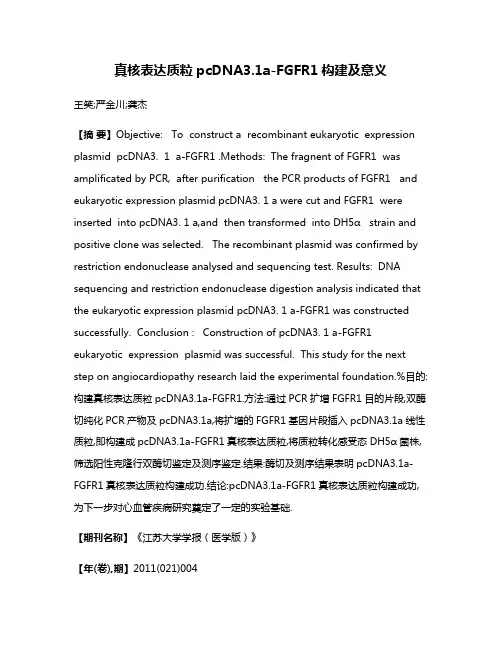 真核表达质粒pcDNA3.1a-FGFR1构建及意义