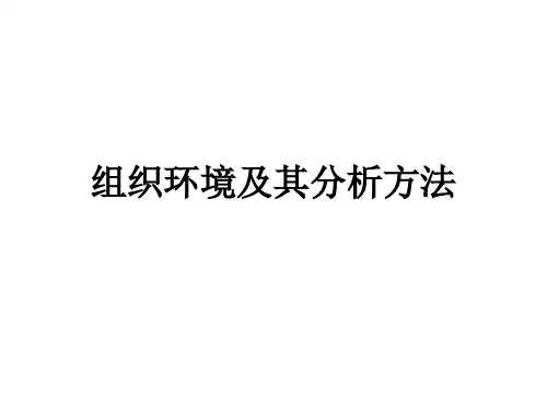 组织环境及其分析方法教学课件