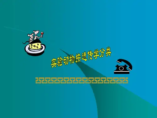 实验动物按遗传学分类