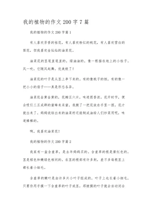 我的植物的作文200字7篇