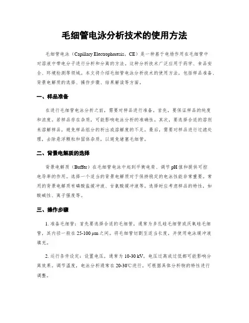 毛细管电泳分析技术的使用方法