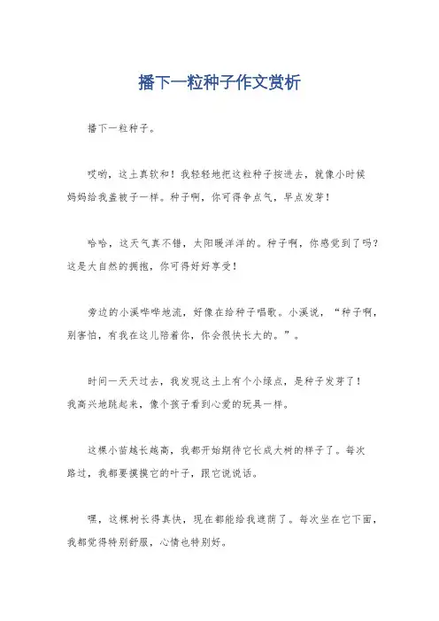 播下一粒种子作文赏析