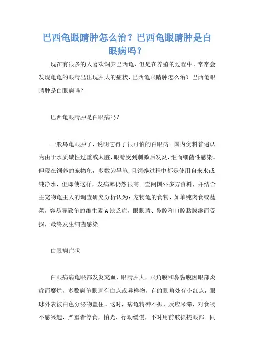 巴西龟眼睛肿怎么治？巴西龟眼睛肿是白眼病吗？