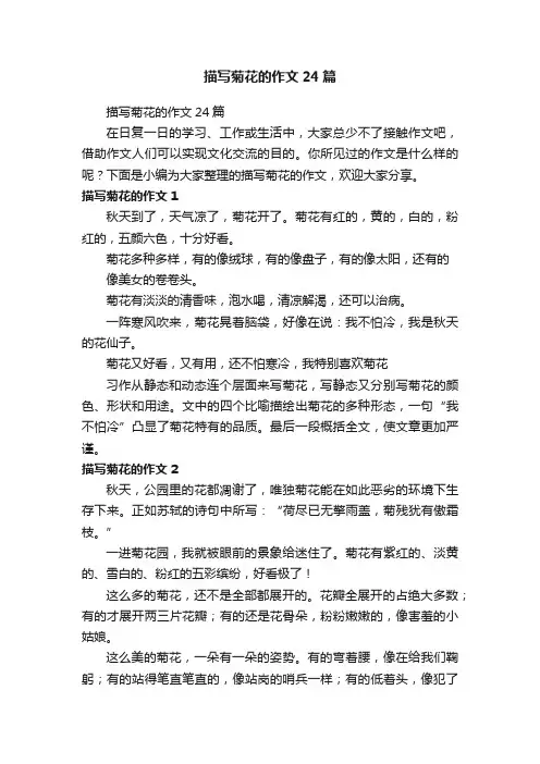 描写菊花的作文24篇