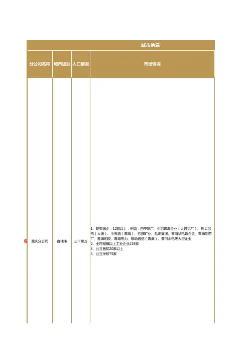 分公司市场情况调研表(模板)(1) (1)
