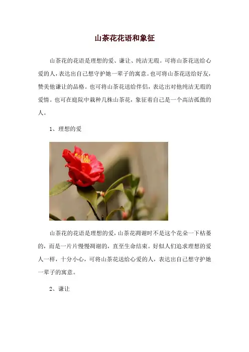 山茶花花语和象征