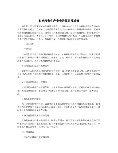 影响粮食生产安全的原因及对策