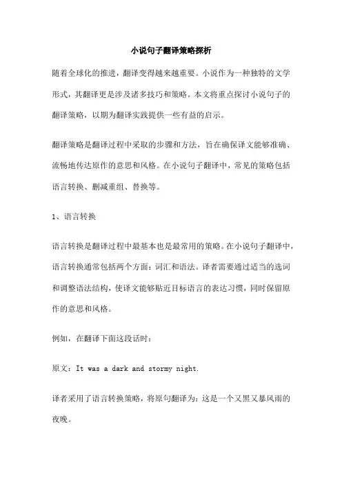 小说句子翻译策略探析
