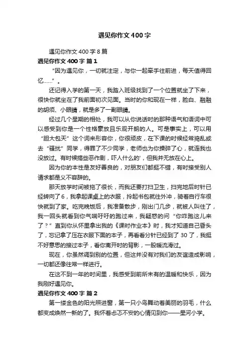 遇见你作文400字8篇