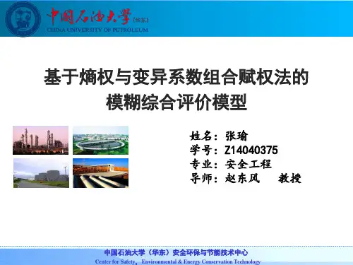 基于信息熵权法与变异系数法的组合赋权法汇总.