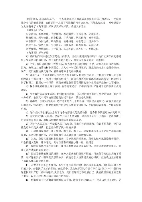 《狗牙雨》好词好句摘抄
