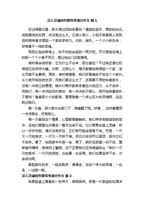 深入灵魂的热爱高考满分作文