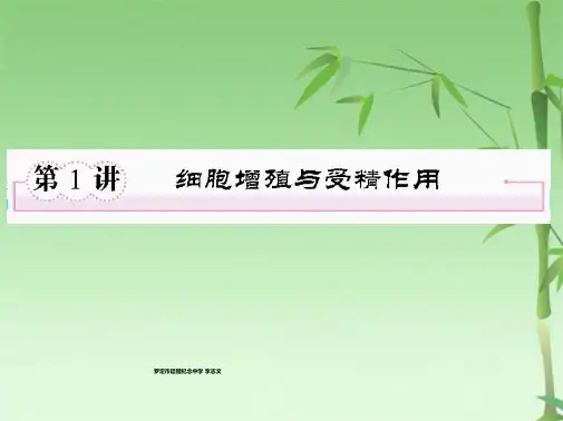 高三生物二轮复习：细胞增殖与受精作用正式版(共66张PPT)