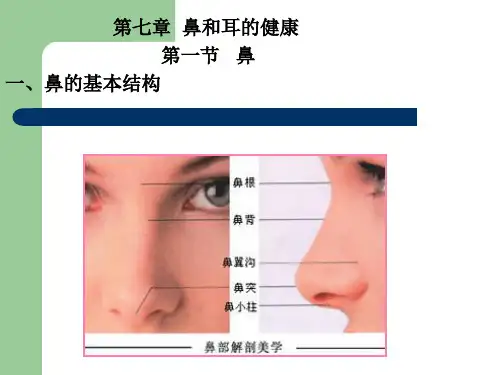 鼻和耳的健康ppt课件