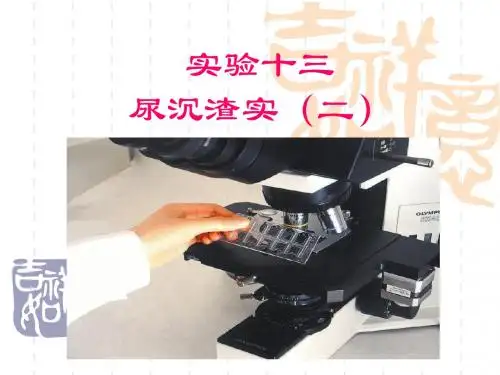 尿沉渣实验(二)
