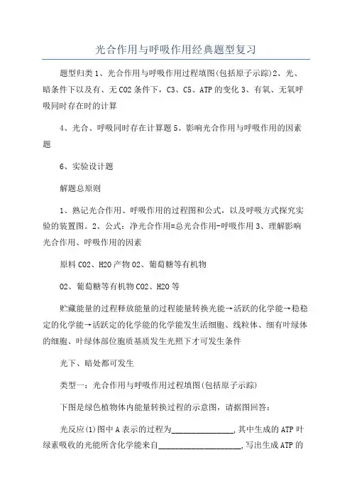 光合作用与呼吸作用经典题型复习