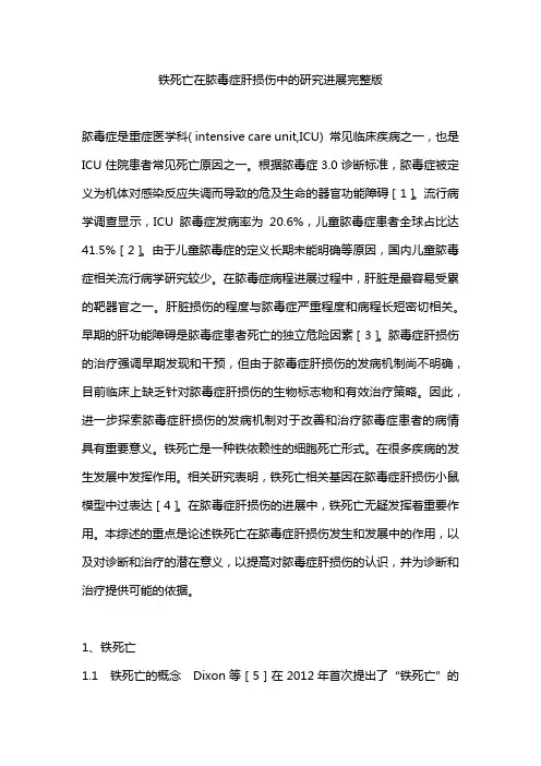 铁死亡在脓毒症肝损伤中的研究进展完整版