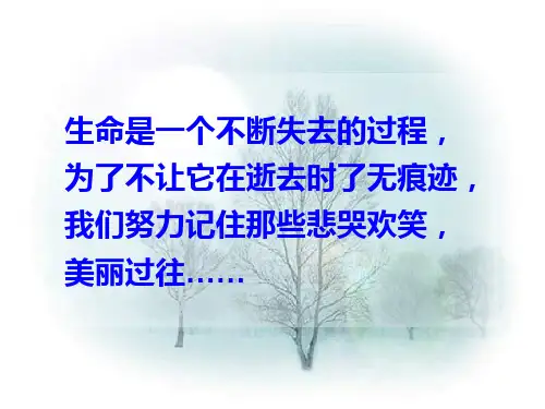 《项脊轩志》实用版详解