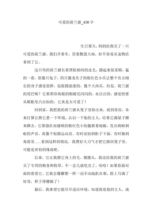 可爱的荷兰猪_450字