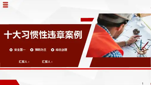 18429 十大习惯性违章典型案例