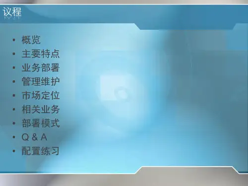 Cisco-NAV10-WF功能说明