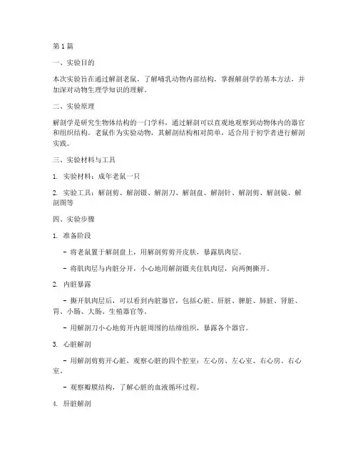 解刨老鼠实验报告(3篇)