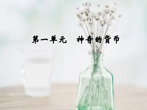 神奇的货币PPT教学课件