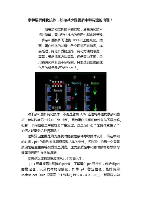 亲和层析纯化抗体，如何减少洗脱后中和沉淀的出现？