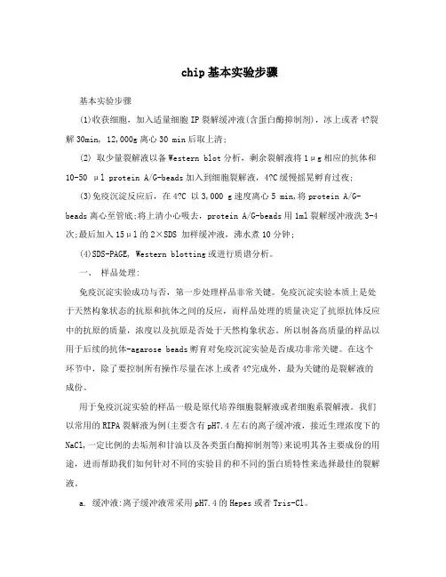 chip基本实验步骤