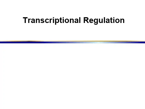 转录调控讲义-Transcriptional Regulation