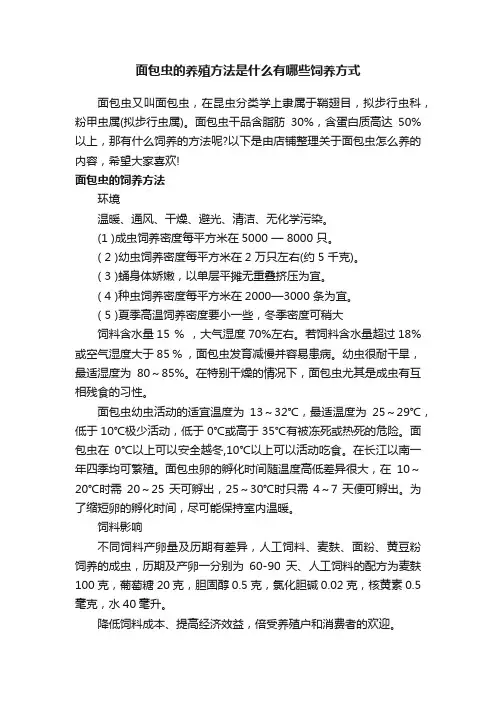 面包虫的养殖方法是什么有哪些饲养方式