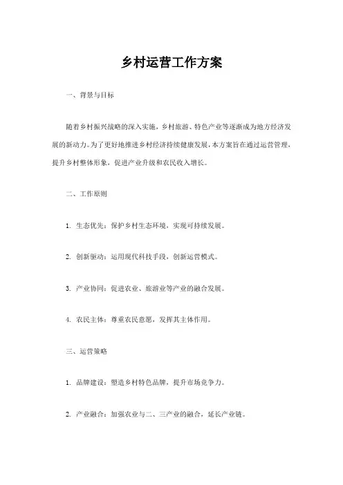 乡村运营工作方案
