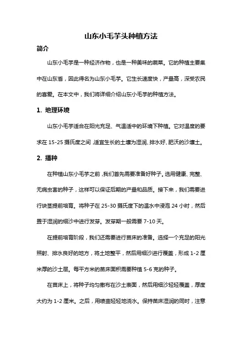 山东小毛芋头种植方法