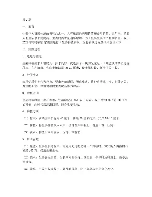 生姜种植实践报告(2篇)