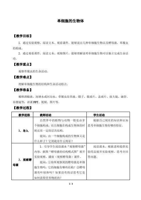 苏科版生物七年级下册：9.3 单细胞的生物体  教案