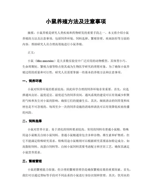 小鼠养殖方法及注意事项