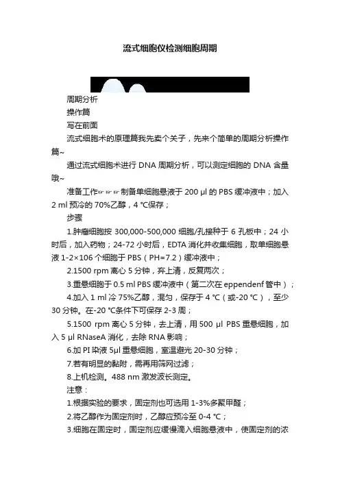 流式细胞仪检测细胞周期